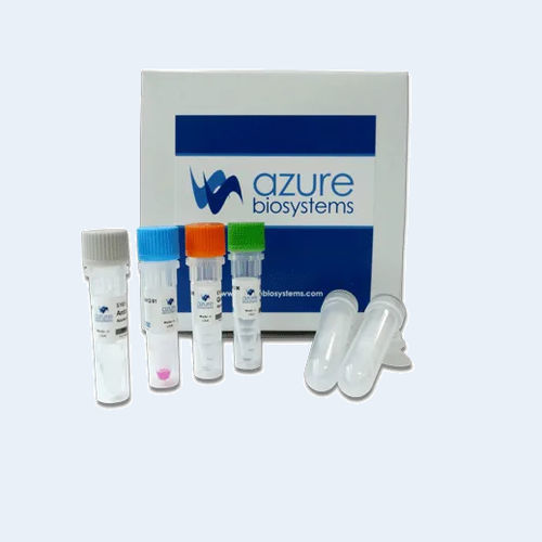 染色试剂套装 - AzureSpectra - Azure Biosystems - 抗体标记