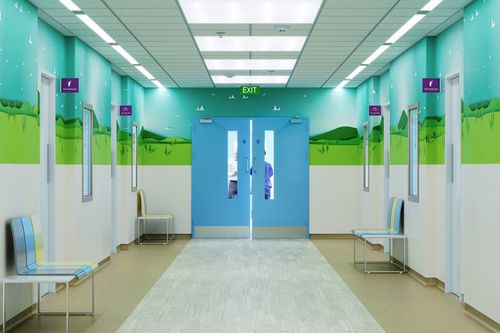 服务门 - doorsets™ - ALTRO LTD - 手术室 / 实验室 / 平开