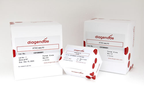 细胞生物学快速诊断套装 - C01080002 - Diagenode - 细胞 / 用于测序
