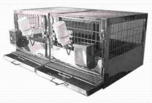 兔类动物笼具 - RBB-S-T-3 - Meditech Technologies India - 双格