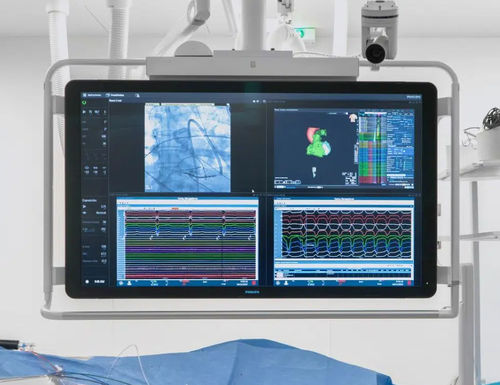 医疗可视化软件 - ORIS - Ditec Medical - 医用 / 4K分辨率