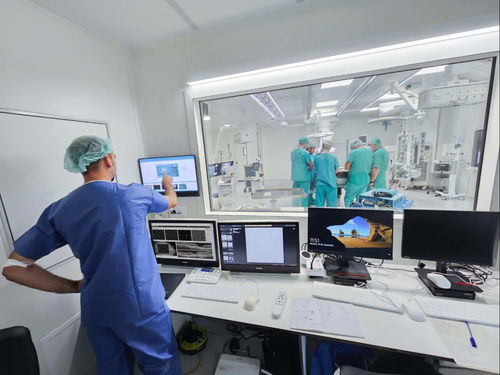 视频管理系统 - ORIS - Ditec Medical - 用于医院 / 基于网络 / 服务器