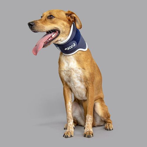 犬用动物颈托balto03neck