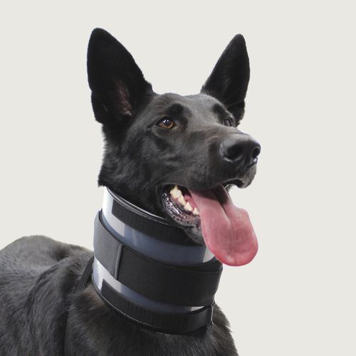 犬用动物颈托 - Bite Free™ - KVP EU Ltd - 尼龙搭扣式 / 可调节