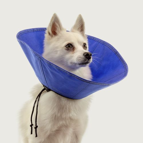 犬类动物脖套 - EZ Soft™ - KVP EU Ltd - 可调节 / 可水洗