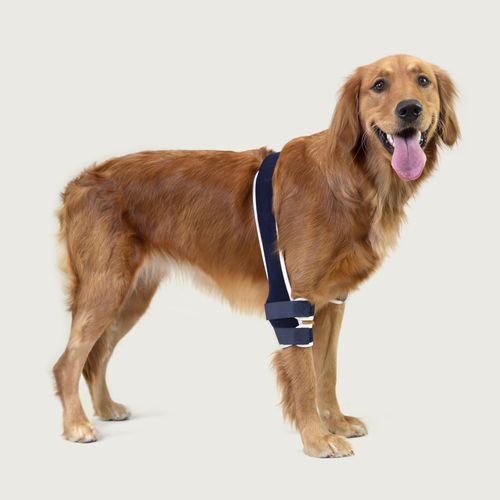康复训练吊具 - Balto® Soft - KVP EU Ltd - 兽用