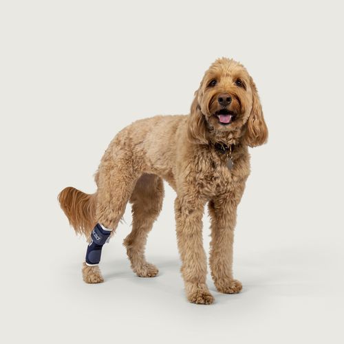 鸡爪兽用夹板 - Balto®  - KVP EU Ltd - 犬类