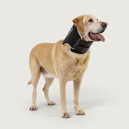 犬用动物颈托 - Balto® Neck Eco - KVP EU Ltd - 尼龙搭扣式 / 可水洗