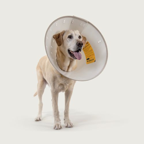 犬用动物脖套 - BetterCollars™ - KVP EU Ltd - 可调节