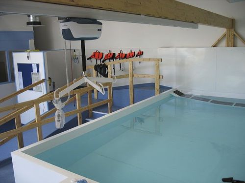 地上康复游泳池 - Bespoke - Dogpools - 兽用