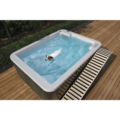 地上康复游泳池 - S290 - DoggySwim - 兽用