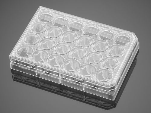 生命科学微孔板 - 353935  - Corning BV - 组织培养 / 24孔 / 细胞