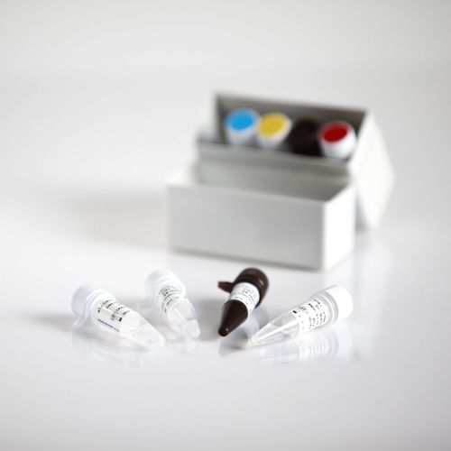 AIDS快速诊断套装 - 09013025 - RTA Laboratories - HIV / 血清 / 等离子