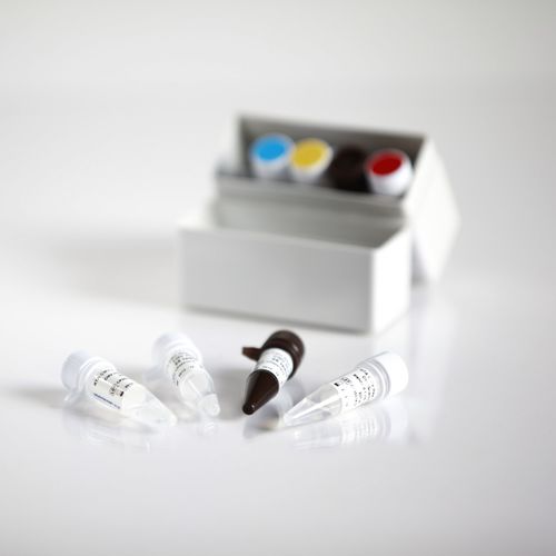 乙型肝炎快速诊断套装 - 09011025 - RTA Laboratories - HBV / 临床 / 血清