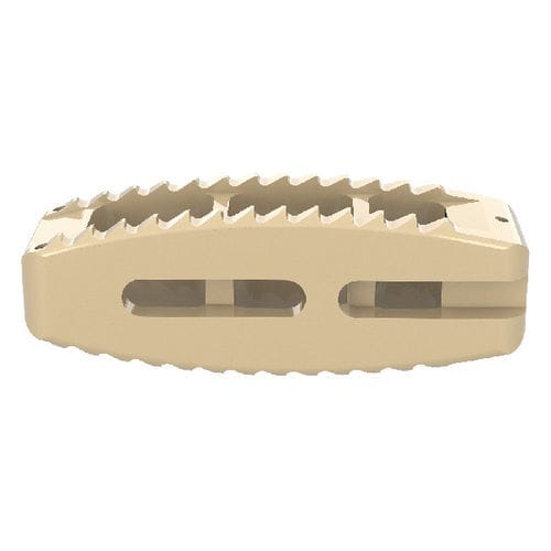 腰椎间融合器 - Halis® - Shanghai Sanyou Medical - 后入路 / PEEK材质