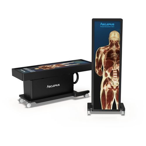 教学解剖台 - TBK 84 EA - Taiwan Main Orthopaedic Biotechnology - 虚拟解剖 / 可调高度 / 电动