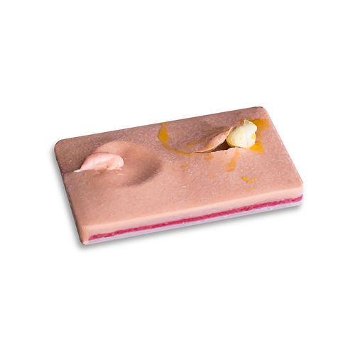 引流模拟器 - 0220 - SurgiReal Products - 皮肤护理 / 垫 / 硅胶