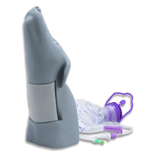 培训模拟器 - SurgiReal Products - 用于进入血管 / 犬类 / 头部