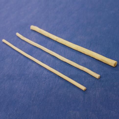 隐静脉解剖模型 - 3-Dmed - 心脏 / 心脏 / 胸主动脉
