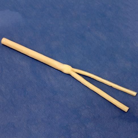 颈动脉解剖模型 - 3-Dmed - 血管 / 颈总动脉 / 用于血管外科手术