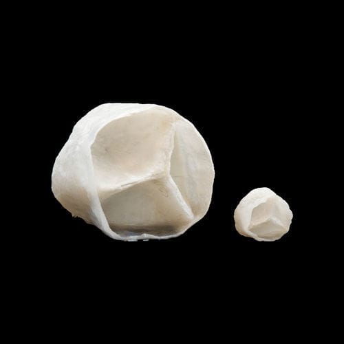 主动脉瓣解剖模型 - 130630 - SynDaver Labs - 穿刺 / 培训 / 消融治疗