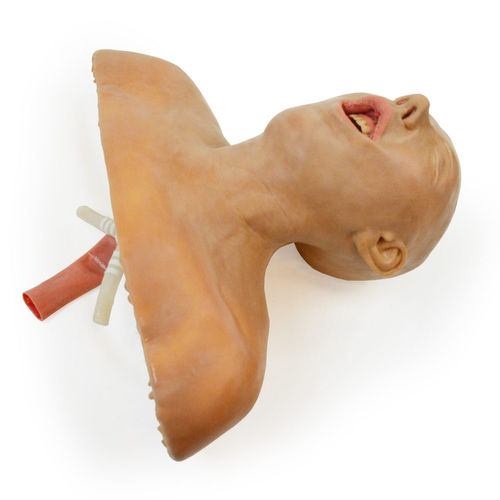 培训模拟器 - 160410 - SynDaver Labs - 教学 / 用于呼吸道处理 / 气管插管