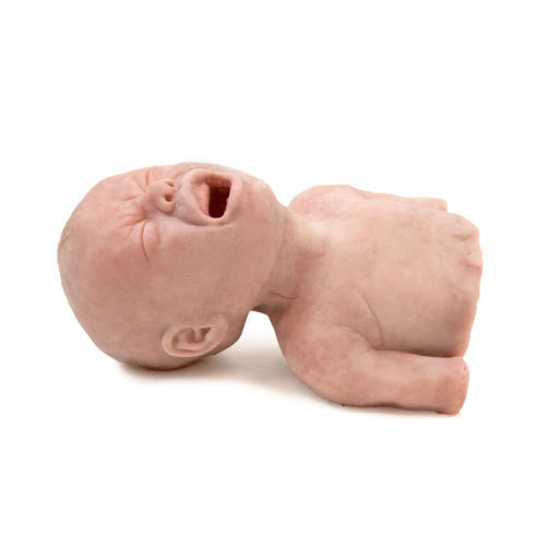 教学模拟器 - 160420 - SynDaver Labs - 用于呼吸道处理 / 气管插管 / 一般护理