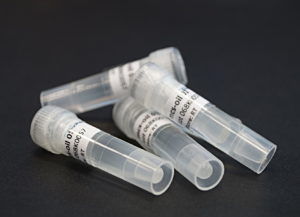 溶液试剂 - 10000163 - microfluidic ChipShop GmbH - 用于分子生物