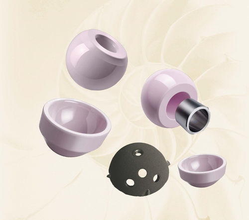 股骨头假体 - 016-1311-2800 - Biotech Medical