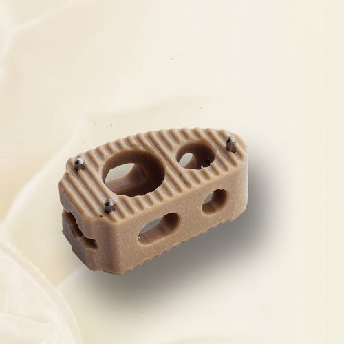 胸腰椎间融合器 - LTC - Biotech Medical - 前入路 / 侧方入路 / PEEK材质