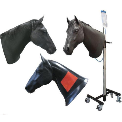 头部解剖模型 - Veterinary Simulator Industries - 兽用 / 用于肌内注射 / 静脉穿刺