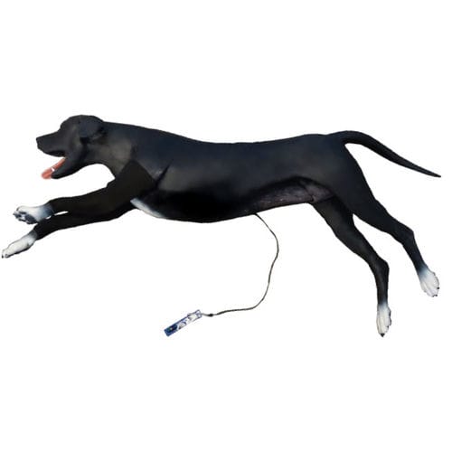基本护理模拟器 - Veterinary Simulator Industries - 绷带包扎 / 用于插管 / 静脉穿刺