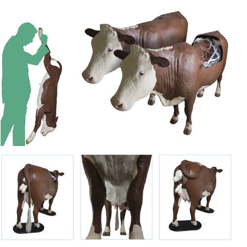 难产模拟器 - Veterinary Simulator Industries - 兽医护理 / 牛 / 全身