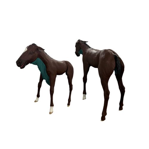 兽用医学教学模型 - Veterinary Simulator Industries - 触诊 / 用于气管插管 / 用于难产