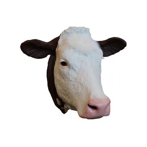 教学模拟器 - Veterinary Simulator Industries - 兽用 / 牛 / 头部