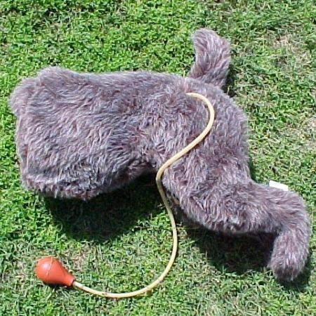 绷带包扎训练模拟器 - 710 - Rescue Critters - 解剖学 / 动物 / 腿部