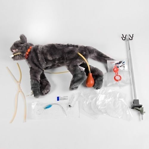 重症监护医学教学模型 - FLUFFY - Rescue Critters - 心肺复苏CPR / 绷带包扎 / 猫科