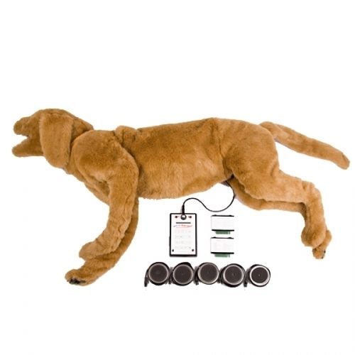 听诊法模拟器 - GOLDIE  - Rescue Critters - 呼吸 / 兽用 / 血管狭窄