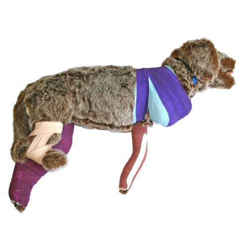兽用医学教学模型 - RUFUS  - Rescue Critters - 紧急救护 / 绷带包扎 / 犬类