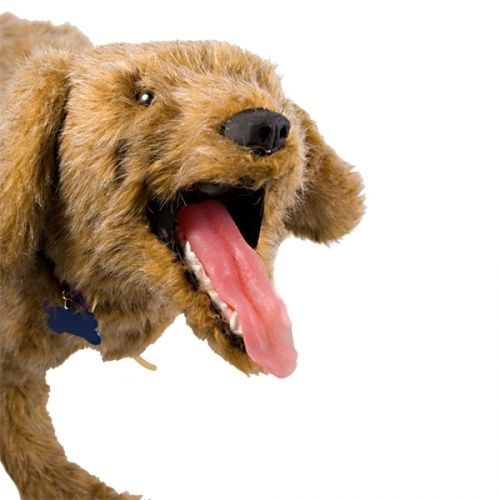 兽用医学教学模型 - Jerry - Rescue Critters - 用于呼吸道处理 / 犬类