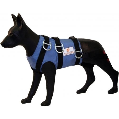 兽用医学教学模型 - FETCH - Rescue Critters - 紧急救护 / 犬类