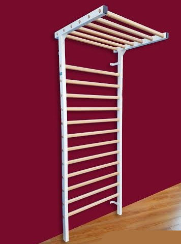 带杠铃康复肋木