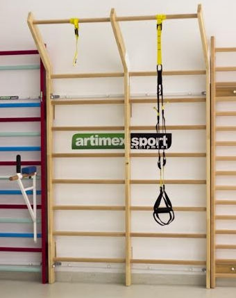 双头康复肋木211g