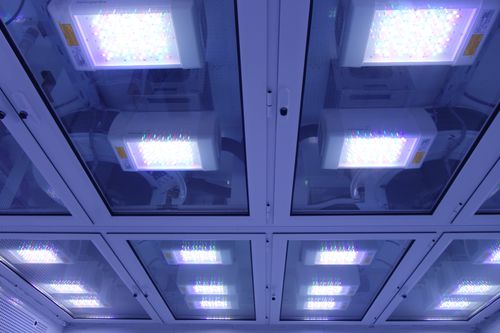 照明灯 - Aralab - 实验室 / LED / 荧光