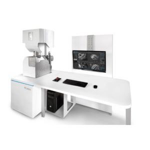 SEM显微镜 - CLARA - TESCAN GmbH - 用于生物学 / 检查 / 用于制药业