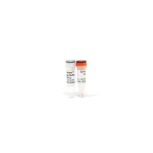 酶试剂 - Zymolyase - Zymo Research - 用于蛋白质提纯 / 用于免疫荧光检验法 / 冻干