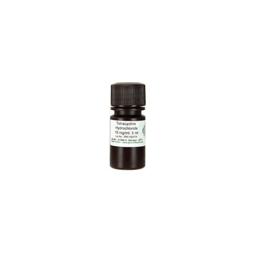 溶液试剂 - A1004 series - Zymo Research - 用于扩增反应 / 大肠杆菌