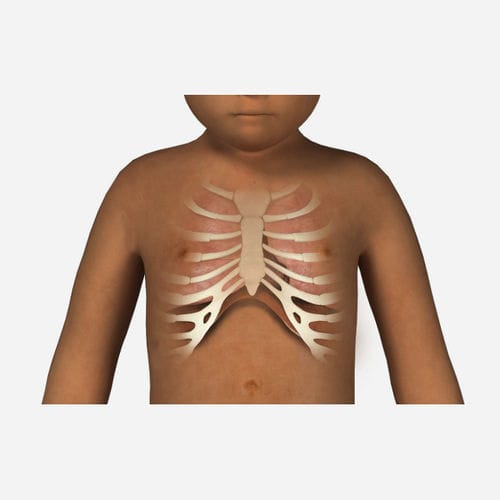 听诊法模拟模块 - SIMTICS - 生命体征 / 儿科护理 / 儿科