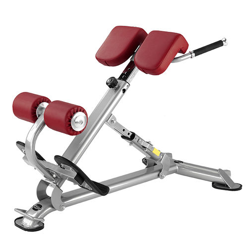 腰部哑铃凳 - L805BB - BH Fitness
