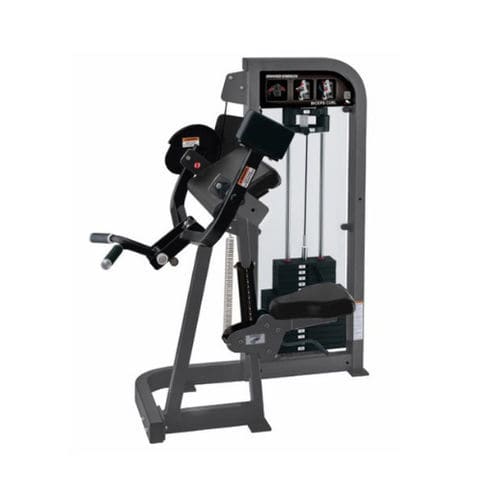 臂弯举健身器械 - HAMMER STRENGTH - Life Fitness